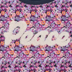 Sweats & Polaires^Name it - NKFTINIBA LS SWE BRU PS Multicolore