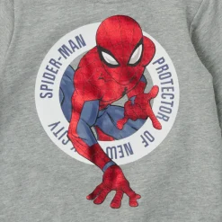 Sweats & Polaires^Name it - NMMJANICH SPIDERMAN SWEAT Gris