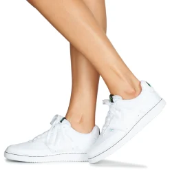 Baskets Mode^Nike - COURT VISION LOW PREM Blanc