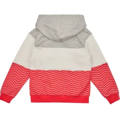 Sweats & Polaires^Only - KOGMADDIE L/S BLOCK HOODIE CS SWT Rose