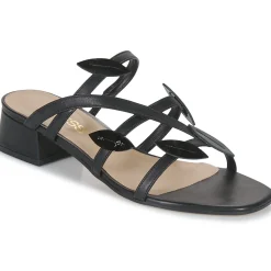 Mules / Sabots^Otess / Zoï - 13730-MONACO-CHAROL- Noir
