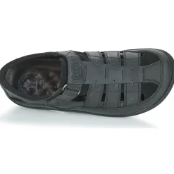 Sandales Et Nu-pieds^Panama Jack - MERIDIAN Noir