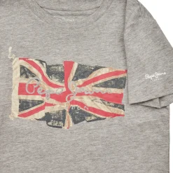 T-shirts & Polos^Pepe jeans - FLAG LOGO JR S/S N Gris