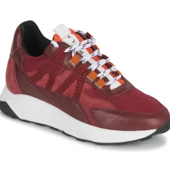 Baskets Mode^Piola - ICA Bordeaux