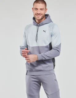 Sweats & Polaires^Puma - INLINE Gris