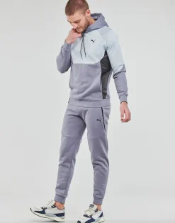 Sweats & Polaires^Puma - INLINE Gris