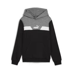 Sweats & Polaires^Puma - POWER COLORBLOCK HOODIE TR