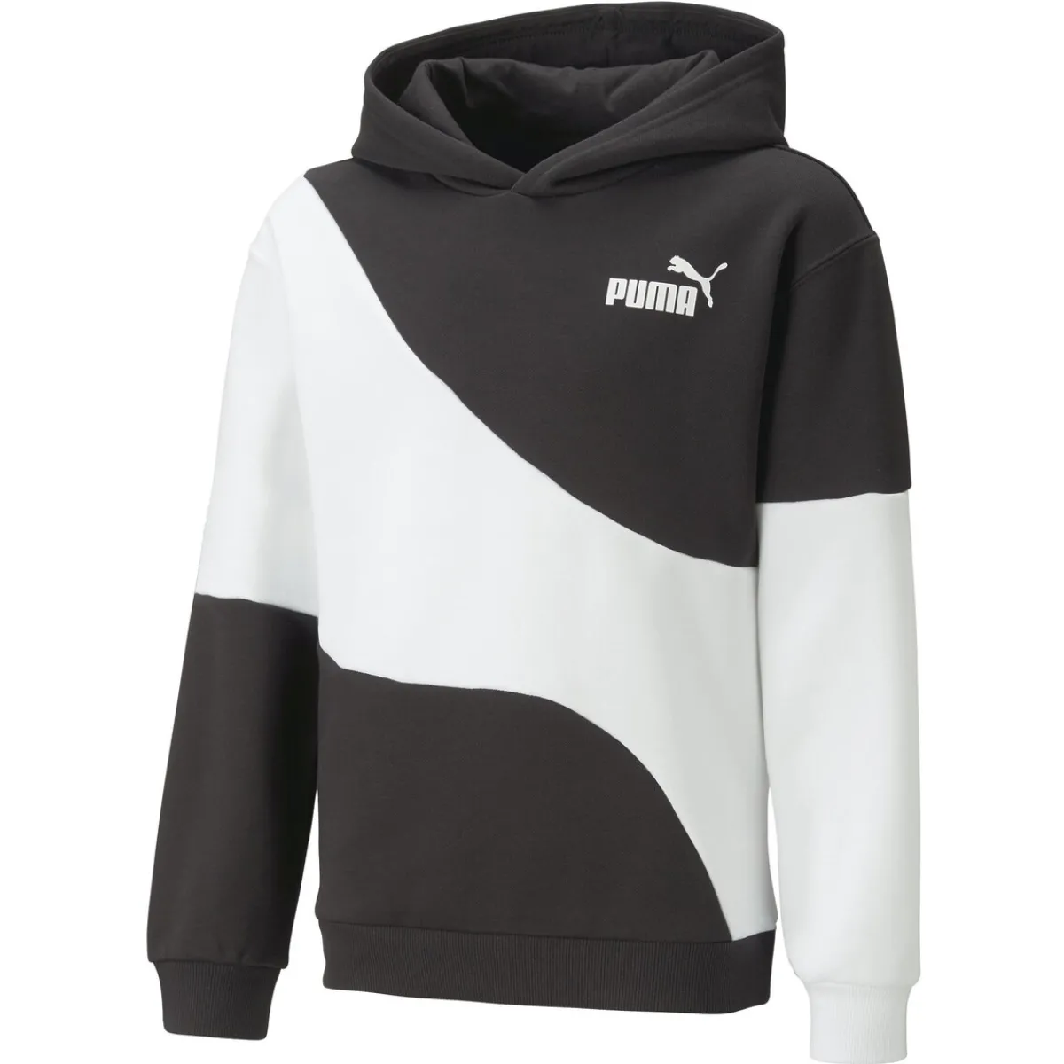 Sweats & Polaires^Puma - POWER CAT HOODIE FL B
