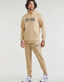 Sweats & Polaires^Puma - SQUAD HOODIE TR Beige