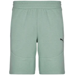 Shorts & Bermudas^Puma - TECH SHORTS Bleu