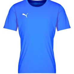 T-shirts & Polos^Puma - TEAMRISE MATCHDAY Bleu