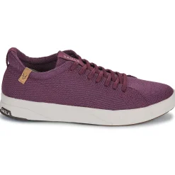 Baskets Mode^Saola - CANNON KNIT 2.0 WOOL Bordeaux
