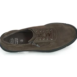 Baskets Mode^Scholl - BRISTOL ZIP Marron