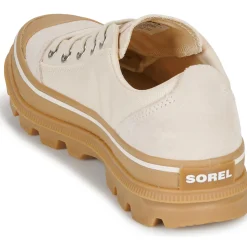 Baskets Mode^Sorel - SCOUT N ABOUT LOW SNEAKER Beige