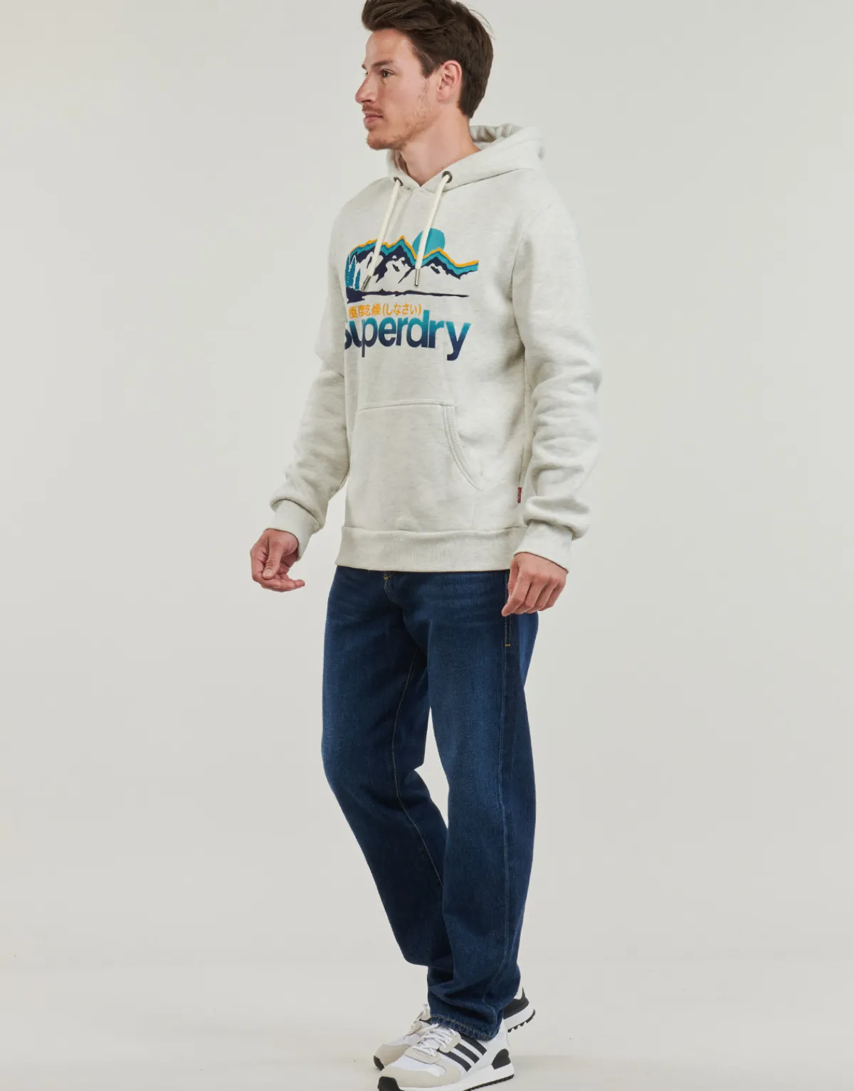 Sweats & Polaires^Superdry - HOODED GREAT OUTDOORS Beige