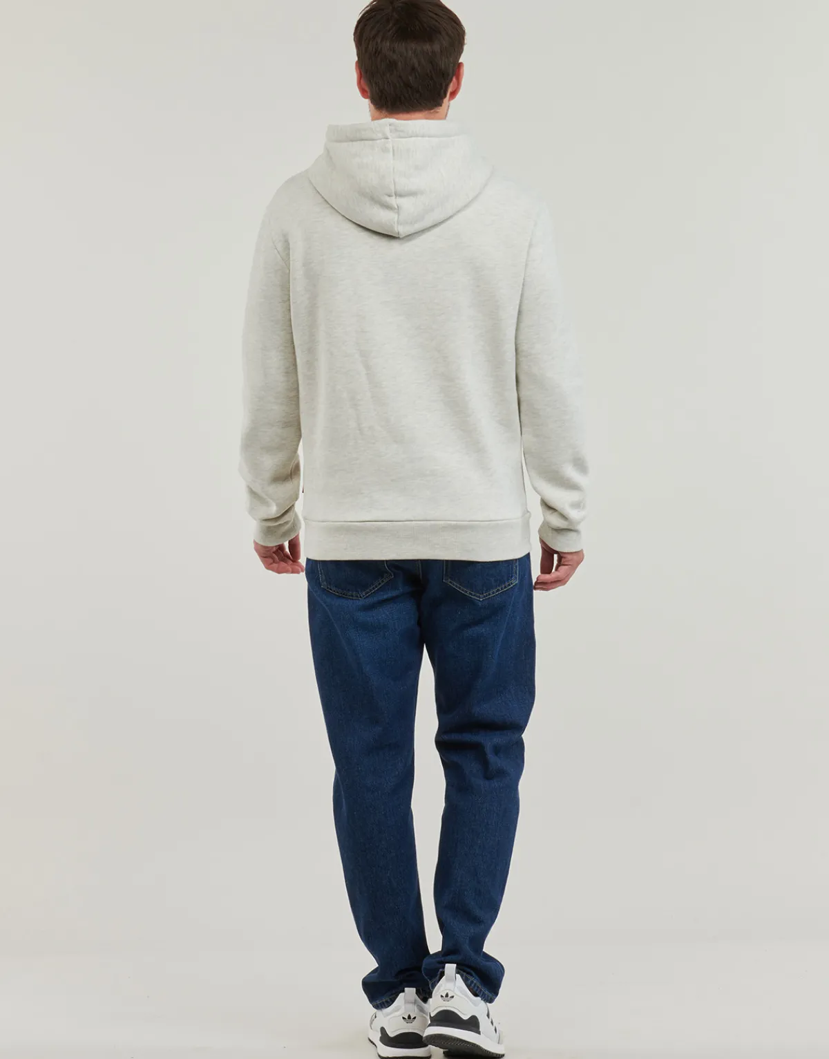 Sweats & Polaires^Superdry - HOODED GREAT OUTDOORS Beige