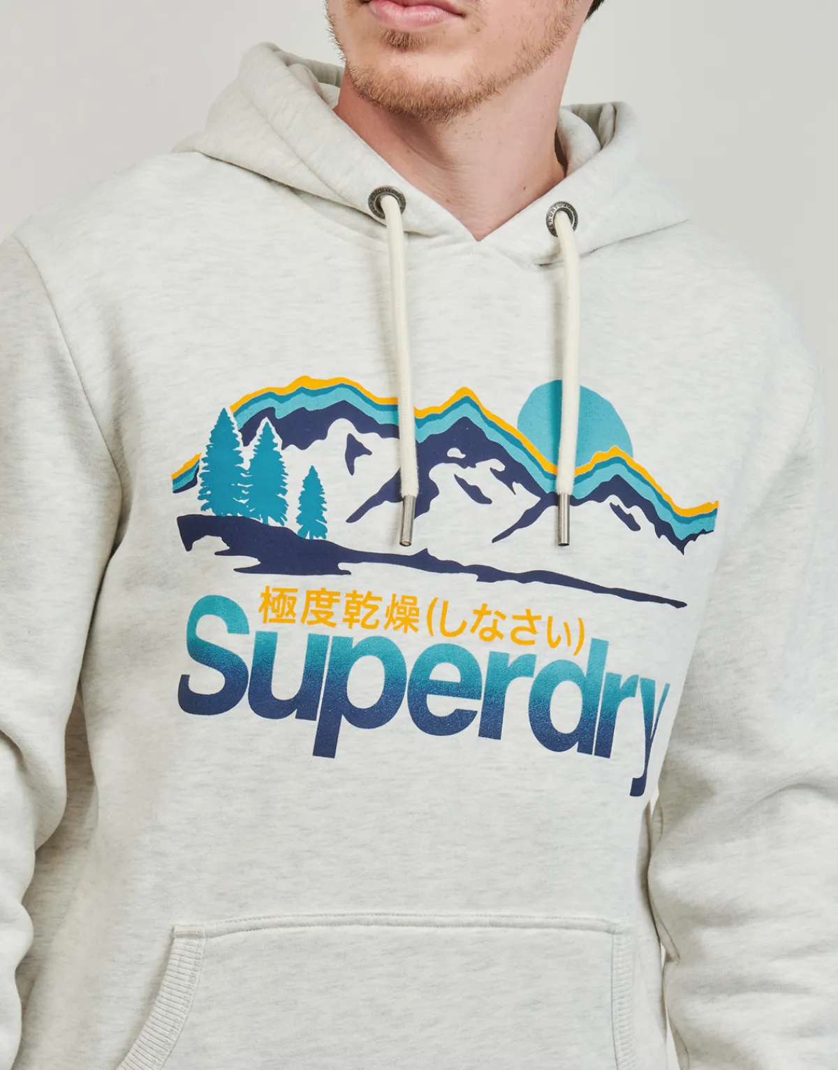 Sweats & Polaires^Superdry - HOODED GREAT OUTDOORS Beige