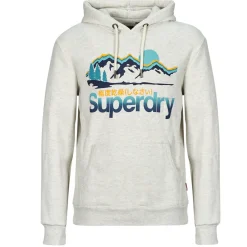Sweats & Polaires^Superdry - HOODED GREAT OUTDOORS Beige