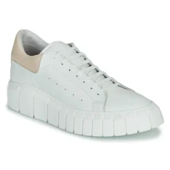 Baskets Mode^Sweet Lemon - PLANTO