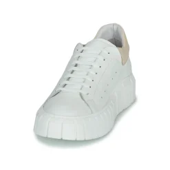 Baskets Mode^Sweet Lemon - PLANTO