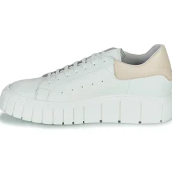 Baskets Mode^Sweet Lemon - PLANTO