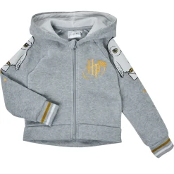 Joggings & Survêtements^TEAM HEROES  - ENSEMBLE HARRY POTTER Gris