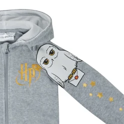 Joggings & Survêtements^TEAM HEROES  - ENSEMBLE HARRY POTTER Gris