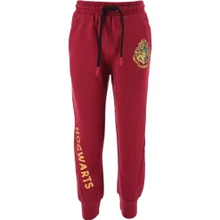 Joggings & Survêtements^TEAM HEROES  - JOGGING HARRY POTTER Violet