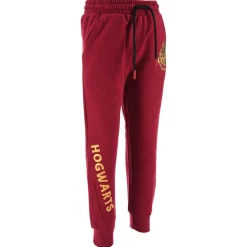 Joggings & Survêtements^TEAM HEROES  - JOGGING HARRY POTTER Violet