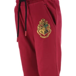 Joggings & Survêtements^TEAM HEROES  - JOGGING HARRY POTTER Violet