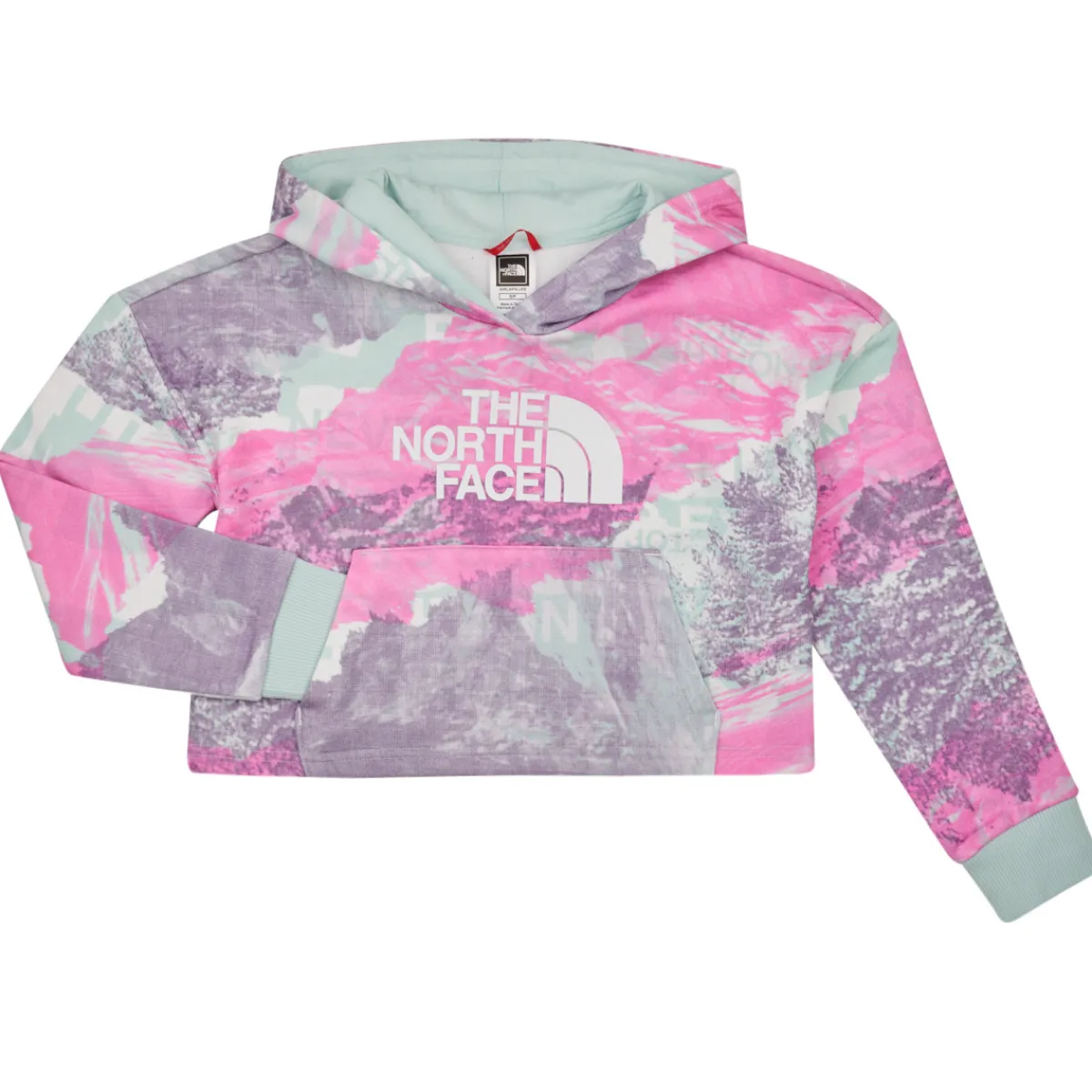 Sweats & Polaires^The North Face - GIRLS DREW PEAK LIGHT HOODIE Multicolore