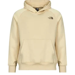 Sweats & Polaires^The North Face - Raglan Box Nse Hoodie Beige