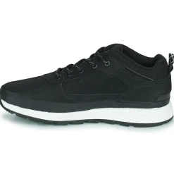 Baskets Mode^Timberland - FIELD TREKKER LOW Noir