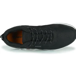 Baskets Mode^Timberland - FIELD TREKKER LOW Noir