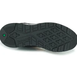 Baskets Mode^Timberland - FIELD TREKKER LOW Noir