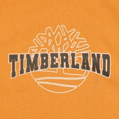 Sweats & Polaires^Timberland - SWEAT T60315 JauneMoutarde