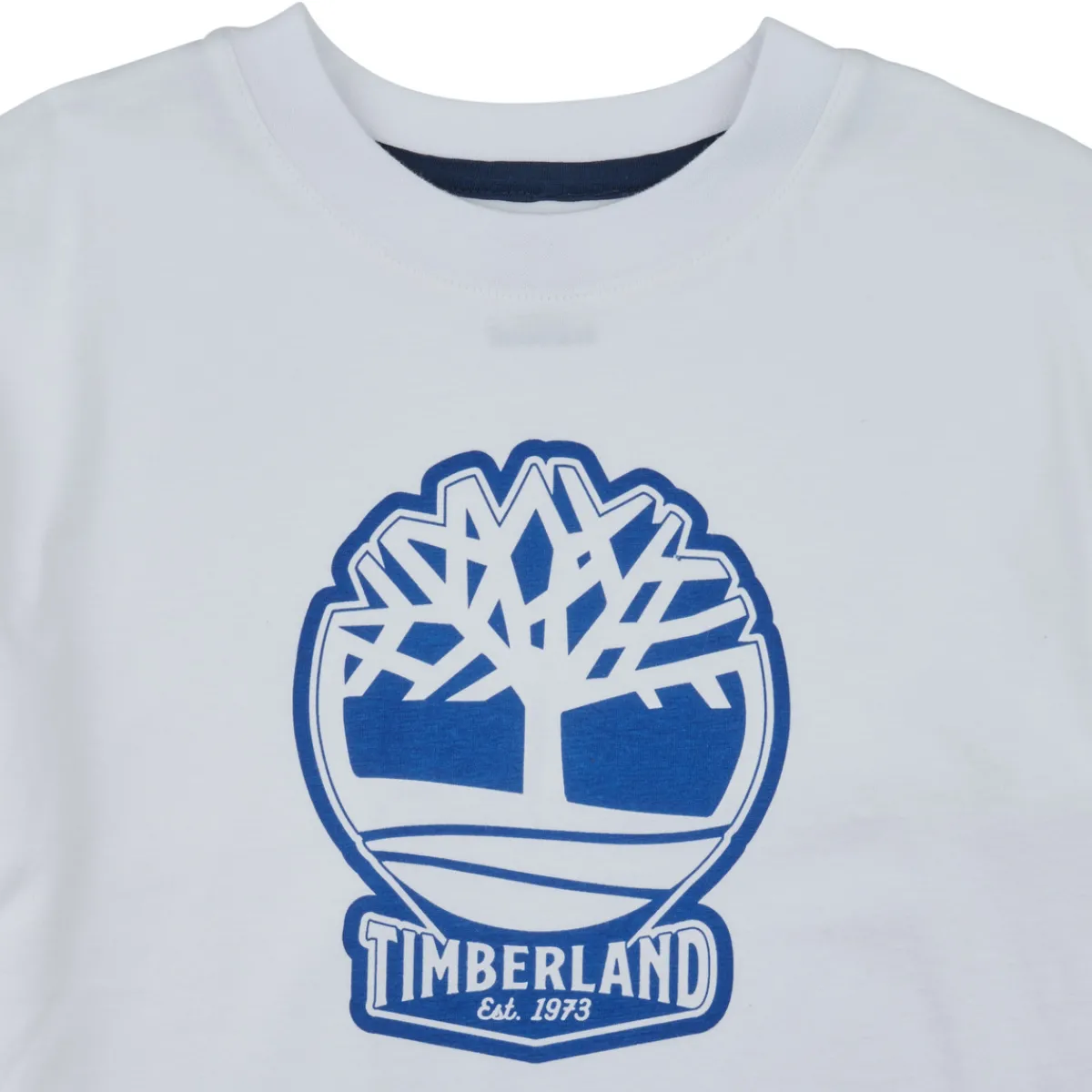 T-shirts & Polos^Timberland - T60422 Blanc