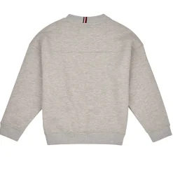 Sweats & Polaires^Tommy Hilfiger - TOMMY 1985 VARSITY SWEATSHIRT Gris