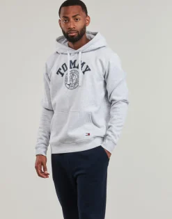 Sweats & Polaires^Tommy Jeans - TJM REG WASHED PREP EXPLR HOODIE Gris