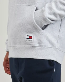 Sweats & Polaires^Tommy Jeans - TJM REG WASHED PREP EXPLR HOODIE Gris
