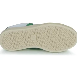 Baskets Mode^Veja - CAMPO CANVAS